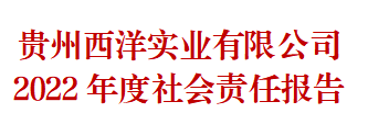 开云(中国)Kaiyun·官方网站 2022年度社会责任报告